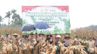 Bupati Aceh Selatan Panen Raya Jagung Serentak Wujudkan Ketahanan Pangan Nasional Bupati Aceh Selatan Panen Raya Jagung Serentak Wujudkan Ketahanan Pangan Nasional