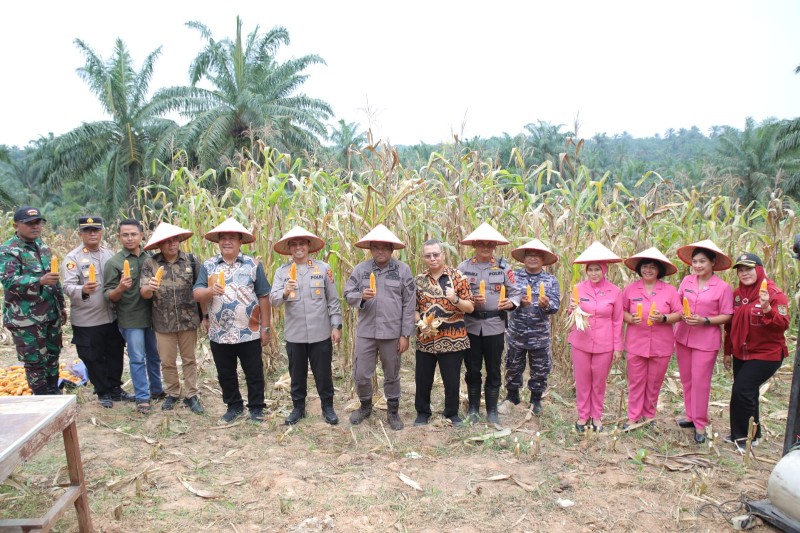 Bupati Asahan Ikuti Panen Raya Jagung Serentak yang Dipimpin Presiden Republik Indonesia