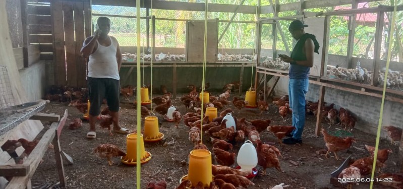 Desa Aek Pardomuan Dukung Ketahanan Pangan, Dengan Modal Sekecil - Kecilnya Dapat Meraih Keuntungan besar