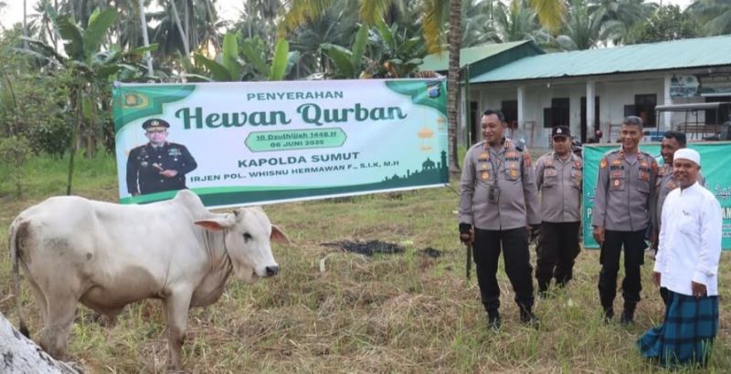 Polres Tanjungbalai Serahkan Satu Ekor Lembu ke Pondok Pesantren Iman Ilmu Amal