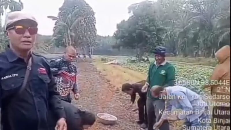 Dorong Ketahanan Pangan, Pemko Binjai Salurkan 500 Kg Bibit Bawang Merah ke Petani
