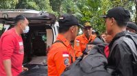 Evakuasi 15 Pendaki Digigit Anjing Liar Positif Rabies di Gunung Batukaru, 6 Orang Masih Dirawat