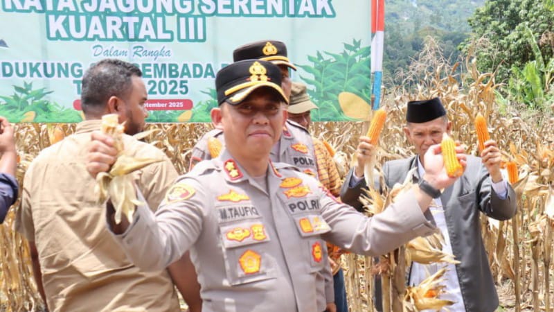Panen Raya Jagung Kuartal III: Kapolres Aceh Tengah dan Forkopimda Kompak Dukung Swasembada Pangan Nasional