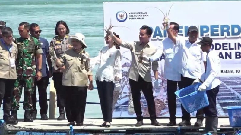Gibran Panen Perdana Lobster di Barelang Bersama Istri