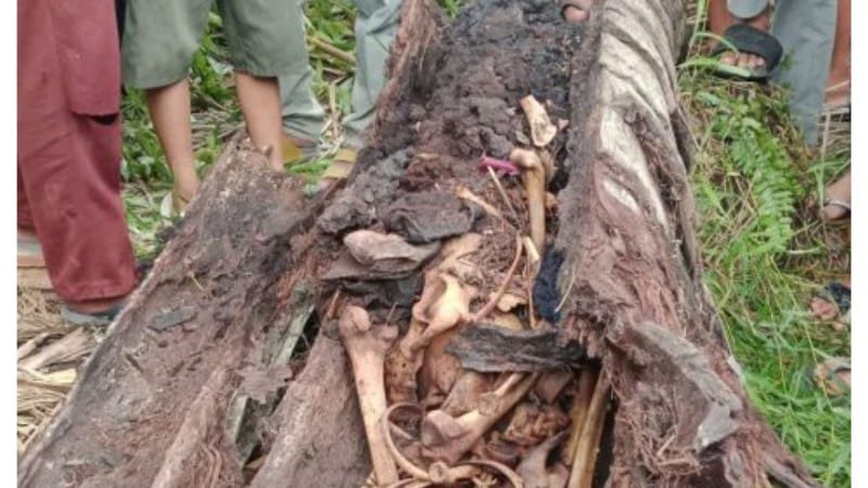 Misteri Mulai Terungkap: Kerangka Manusia dalam Pohon Aren di Serdang Bedagai Diduga Adalah Yuda