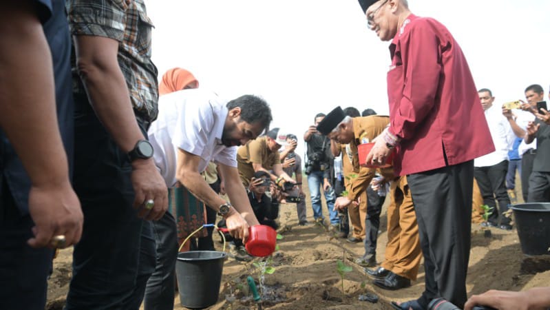 Mualem Dukung Petani Cabai dan Nilam untuk Kendalikan Inflasi dan Tingkatkan Ekonomi