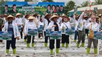 DPD RI Luncurkan Gerakan “Senator Peduli Ketahanan Pangan” Jelang HUT ke-21, Dimulai dari Mimika Papua Tengah