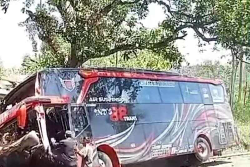 Tragis! 8 Karyawan RS Bina Sehat Jember Tewas dalam Kecelakaan Bus Wisata Usai Liburan dari Bromo