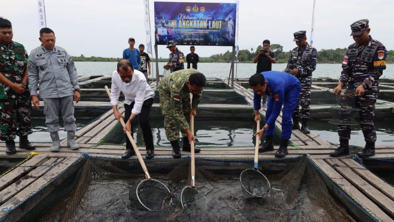 TNI AL Gelar Panen Ketahanan Pangan 2025 di Batam, Dukungan Kemandirian Pangan Maritim