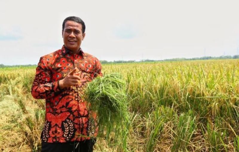 Mentan Amran Sulaiman Buktikan Swasembada Beras, Stok Bulog Tembus 4,2 Juta Ton