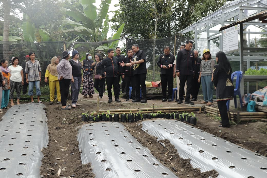 Bupati Pakpak Bharat Tinjau Kebun B2SA PKK Silima Kuta, Contoh Kemandirian Pangan Keluarga