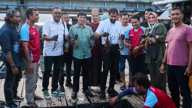 Gubernur Aceh Panen Lobster di Ulee Lheue, Janjikan Dukungan untuk Nelayan Lokal