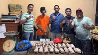 Polsek Bilah Hilir Tangkap Pengedar Ganja, Sita 1,2 Kg Barang Bukti
