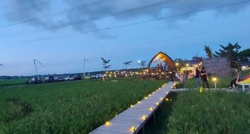 Wisata Menarik di Kota Binjai untuk Liburan: Sawah Lukis Jadi Primadona Baru Wisata Alam Instagramable