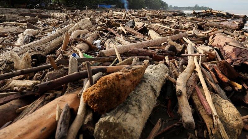 Kemenhut Tegaskan Kayu Hanyut Akibat Banjir Boleh Dimanfaatkan Terbatas untuk Kemanusiaan