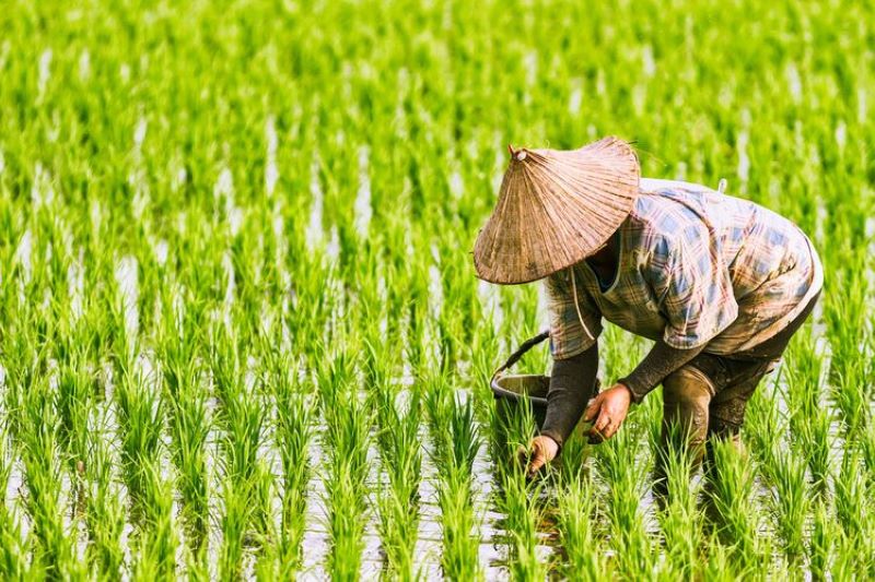 Dorong Produktivitas Petani, Anggota DPR Banyu Biru Salurkan Puluhan Alat Pertanian di Madiun