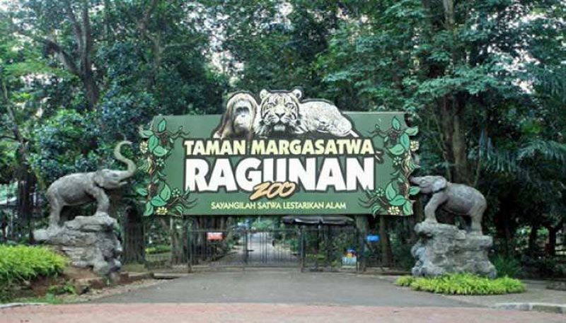Prediksi 80.000 Pengunjung Taman Margasatwa Ragunan Saat Tahun Baru 2026