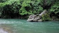 Tangkahan Langkat Pesona Tangkahan Langkat: Surga Ekowisata Sumatera Utara yang Mendunia