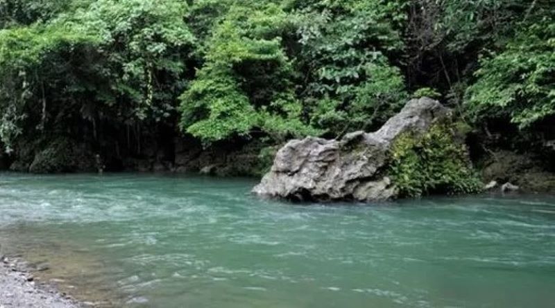 Pesona Tangkahan Langkat: Surga Ekowisata Sumatera Utara yang Mendunia