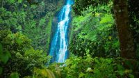 Air Terjun Silima Lima Pesona Air Terjun Silima-lima, Surga Tersembunyi di Padang Sidempuan yang Wajib Dikunjungi