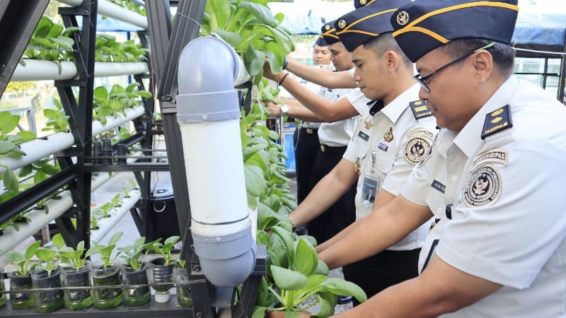 Lapas Batam Panen Sayur dan Ikan, Wujudkan Kemandirian Pangan Warga Binaan