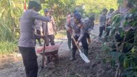 Meski Libur Akhir Pekan, Polres Aceh Tengah dan Brimob Gotong Royong Pulihkan Wilayah Pascabencana