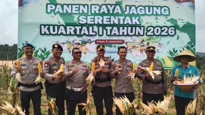 Polda Kepri Panen Raya Jagung Dukung Swasembada Pangan 2026