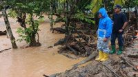 Warga Tukka Panik Banjir Susulan, Bupati Tapteng Tinjau Normalisasi Sungai