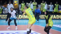 Proliga Putri 2026 Popsivo Polwan Buka Asa Lolos Final Four