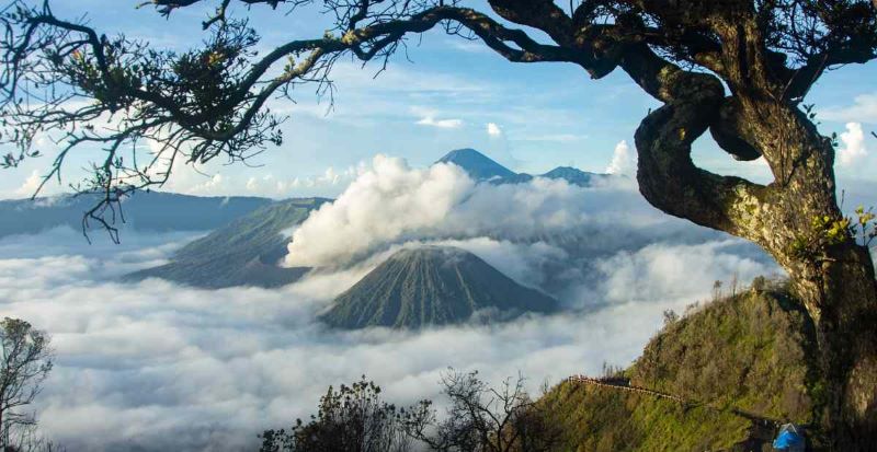 Gunung Bromo: Keindahan Gunung Berapi Aktif dengan Panorama Wisata Terbaik di Jawa Timur