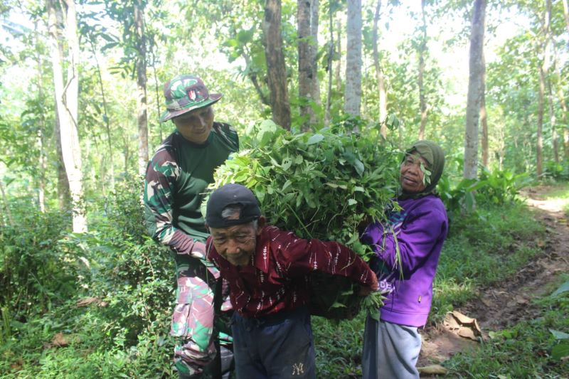 Harmoni Pengabdian Prajurit di Jalur Pembangunan Desa