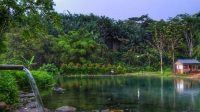 Pulau Batu Wisata Alam Pulau Batu: Surga Tersembunyi di Pematangsiantar