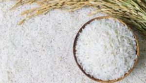 Harga Beras dan Gula Berpotensi Naik, Bapanas Soroti Dampak Kenaikan Plastik