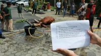 Columbia Asia Hospital Medan Rayakan Iduladha Penuh Makna, Wujud Kepedulian Sosial dan Penguatan Ikatan Komunitas