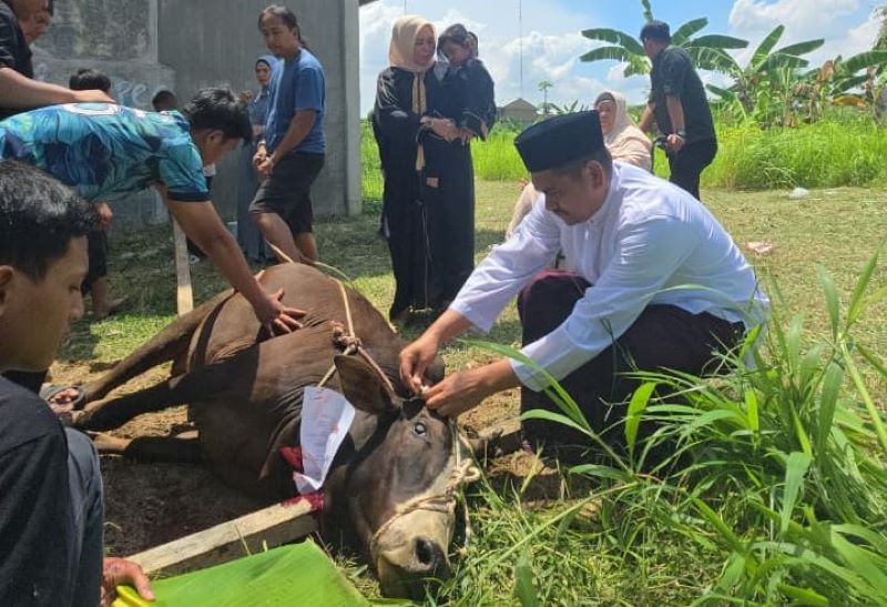 Ponpes MTs Nur Zam-Zam Marindal Deli Serdang Gelar Penyembelihan Hewan Kurban, Tebar Kepedulian di Hari Raya Idul Adha