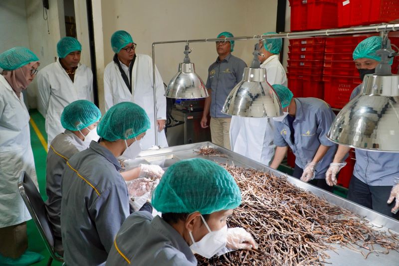 Bapanas Perkuat Pengawasan Keamanan Pangan Nasional, Dorong Produk Indonesia Tembus Pasar Ekspor Global
