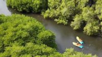Taman Nasional Bali Barat Kementerian Kehutanan Tegaskan Wisata Alam di TN Bali Barat Legal dan Sesuai Aturan
