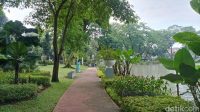 Objek Wisata Taman Situ Lembang Jakarta, Oase Hijau di Tengah Hiruk Pikuk Ibu Kota