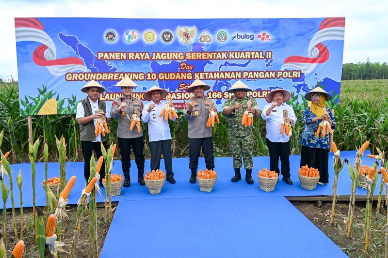 Wagub Sumut Hadiri Panen Raya Jagung Serentak, Presiden Tekankan Pentingnya Swasembada Pangan