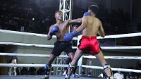 Bupati Asahan Apresiasi Asahan Fight Series 3, Momentum Pembinaan Atlet dan Penguatan Karakter Generasi Muda
