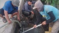 Isu Pencemaran Lingkungan Diduga dari Fasilitas MBG Tandam Hilir I, PIC: Standar Kebersihan Terjaga dan Dipantau Rutin