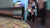 Babi Hutan Mengamuk di Permukiman Warga Sergai, Seruduk Kepala Keluarga Hingga Luka dan Masuk ke Dalam Rumah