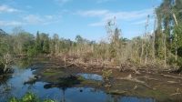 Limbah Tambak Udang Cemari Lahan Warga di Pantai Hoya, BZ pemilik lahan tuntut pertanggungjawaban Limbah Tambak Udang Cemari Lahan Warga di Pantai Hoya, BZ pemilik lahan tuntut pertanggungjawaban