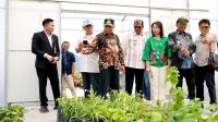 Temasek Singapura Jajaki Kerja Sama di TSTH2, Wagub Sumut Tegaskan Komitmen Kembangkan Pusat Bioekonomi Tropis