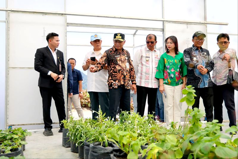 Temasek Singapura Jajaki Kerja Sama di TSTH2, Wagub Sumut Tegaskan Komitmen Kembangkan Pusat Bioekonomi Tropis