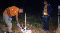 Kerangka Mayat Ditemukan Warga di Bonalumban Tukka, Polres Tapteng Imbau Warga yang Kehilangan