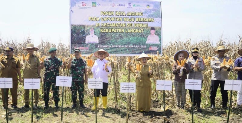 Perluas Akses Pembiayaan Petani, OJK Sumut Dorong Klaster Kemitraan Jagung di Langkat