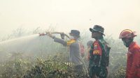 Kapolda Jambi Bersama Gubernur dan Danrem Pantau Penanganan Karhutla di Tanjab Timur Kapolda Jambi Bersama Gubernur dan Danrem Pantau Penanganan Karhutla di Tanjab Timur
