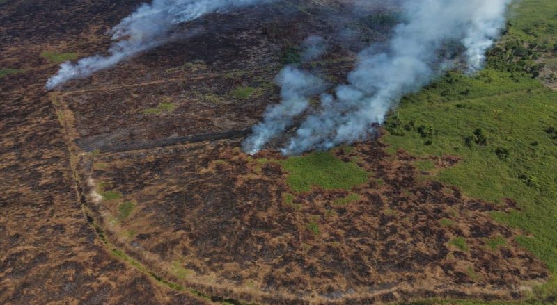 Polda Jambi Intensifkan Patroli Udara dan Water Bombing Tangani Karhutla