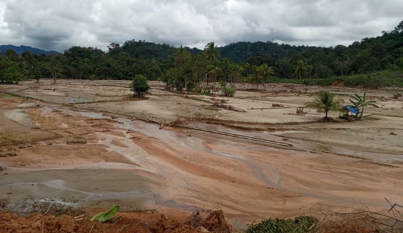 Puluhan Hektare Lahan Persawahan di Anggoli Belum Dibenahi
